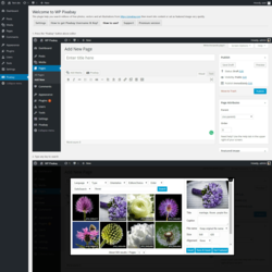 Page screenshot: Pixabay &lsaquo; Test site &mdash; WordPress