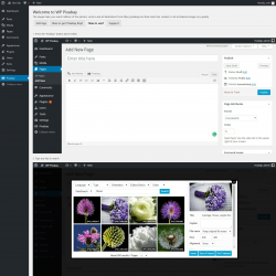 Page screenshot: Pixabay &lsaquo; Test site &mdash; WordPress