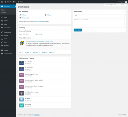 Page screenshot: Dashboard &lsaquo; Test site &mdash; WordPress