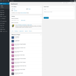 Page screenshot: Dashboard &lsaquo; Test site &mdash; WordPress