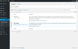 Page screenshot: Plugins &lsaquo; Test site &mdash; WordPress