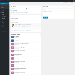 Page screenshot: Dashboard &lsaquo; Test site &mdash; WordPress