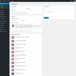 Page screenshot: Dashboard &lsaquo; Test site &mdash; WordPress