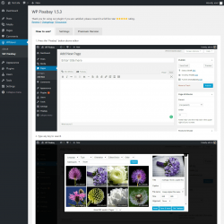 Page screenshot: WPclever &rarr; WP Pixabay