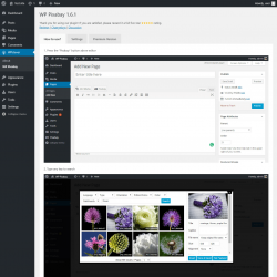 Page screenshot: WPclever &rarr; WP Pixabay