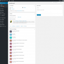 Page screenshot: Dashboard &lsaquo; Test site &mdash; WordPress