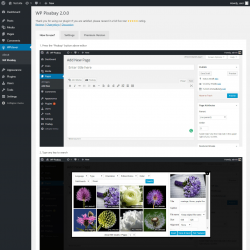 Page screenshot: WPclever &rarr; WP Pixabay