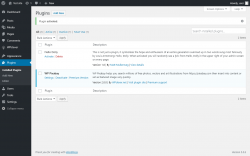 Page screenshot: Plugins &lsaquo; Test site &mdash; WordPress