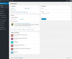 Page screenshot: Dashboard &lsaquo; Test site &mdash; WordPress