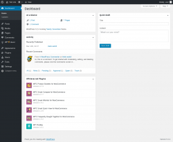 Page screenshot: Dashboard &lsaquo; Test site &mdash; WordPress