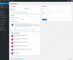 Page screenshot: Dashboard &lsaquo; Test site &mdash; WordPress