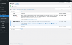 Page screenshot: Plugins &lsaquo; Test site &mdash; WordPress