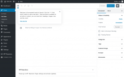 Page screenshot: Add New Post ‹ Test site — WordPress