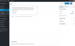 Page screenshot: Add New Page ‹ Test site — WordPress