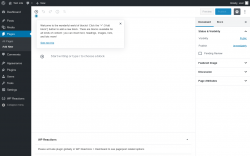 Page screenshot: Add New Page ‹ Test site — WordPress