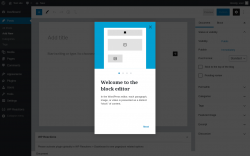 Page screenshot: Add New Post ‹ Test site — WordPress