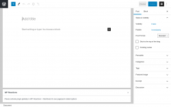Page screenshot: Add New Post ‹ Test site — WordPress