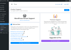 Page screenshot: WP Reactions → Support