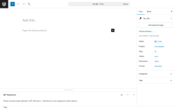 Page screenshot: Add Post ‹ Test site — WordPress