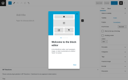 Page screenshot: Add New Post ‹ Test site — WordPress