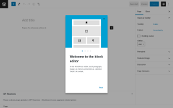 Page screenshot: Add New Page ‹ Test site — WordPress
