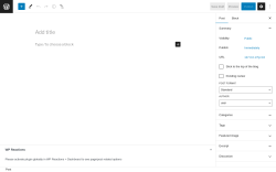 Page screenshot: Add New Post ‹ Test site — WordPress
