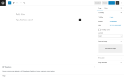 Page screenshot: Add New Page ‹ Test site — WordPress
