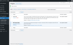 Page screenshot: Plugins &lsaquo; Test site &mdash; WordPress