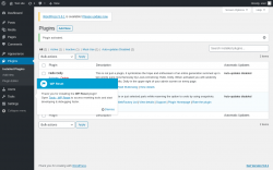 Page screenshot: Plugins &lsaquo; Test site &mdash; WordPress