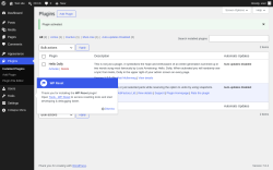 Page screenshot: Plugins &lsaquo; Test site &mdash; WordPress