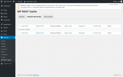 Page screenshot: Settings &rarr; WP REST Cache &rarr; Endpoint API Caches
