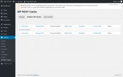Page screenshot: Settings &rarr; WP REST Cache &rarr; Endpoint API Caches