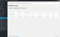 Page screenshot: Settings &rarr; WP REST Cache &rarr; Endpoint API Caches