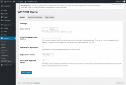 Page screenshot: Settings &rarr; WP REST Cache