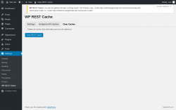 Page screenshot: Settings &rarr; WP REST Cache &rarr; Clear Caches