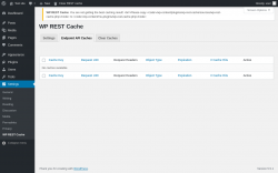Page screenshot: Settings &rarr; WP REST Cache &rarr; Endpoint API Caches