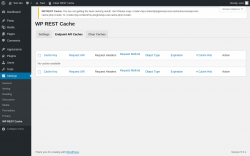 Page screenshot: Settings &rarr; WP REST Cache &rarr; Endpoint API Caches