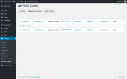 Page screenshot: Settings &rarr; WP REST Cache &rarr; Endpoint API Caches
