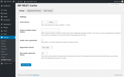 Page screenshot: Settings &rarr; WP REST Cache