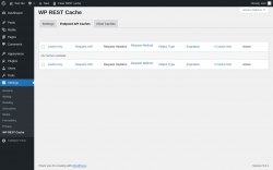 Page screenshot: Settings &rarr; WP REST Cache &rarr; Endpoint API Caches