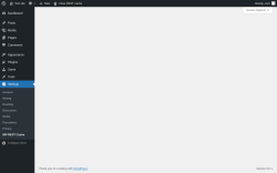 Page screenshot: Settings &rarr; WP REST Cache