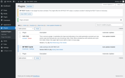 Page screenshot: Plugins &lsaquo; Test site &mdash; WordPress