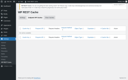 Page screenshot: Settings &rarr; WP REST Cache &rarr; Endpoint API Caches