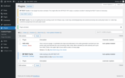 Page screenshot: Plugins &lsaquo; Test site &mdash; WordPress