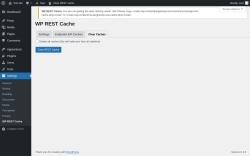 Page screenshot: Settings &rarr; WP REST Cache &rarr; Clear Caches