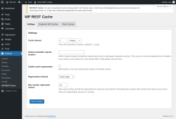 Page screenshot: Settings &rarr; WP REST Cache