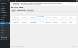 Page screenshot: Settings &rarr; WP REST Cache &rarr; Endpoint API Caches