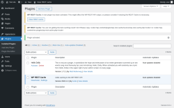 Page screenshot: Plugins &lsaquo; Test site &mdash; WordPress