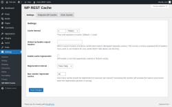 Page screenshot: Settings &rarr; WP REST Cache