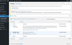Page screenshot: Plugins &lsaquo; Test site &mdash; WordPress